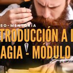 Introducción a la Magia – Mentoría – Módulo 4